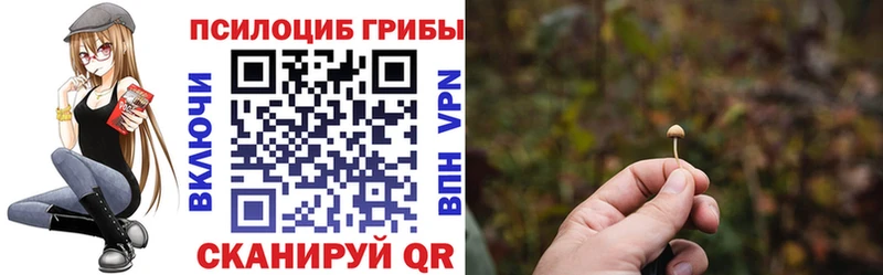 hydra ТОР  наркота  Северо-Курильск  Галлюциногенные грибы Psilocybe 