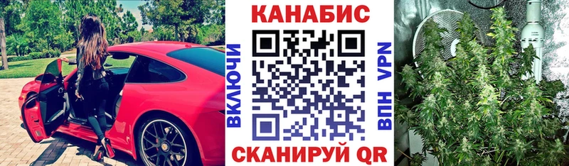 МАРИХУАНА сатива Северо-Курильск